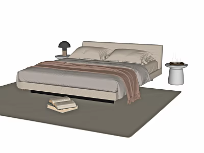 Modern Double Bed With Throw Blanket Bedside Table Black Lamp Area Rug And Stacked Books 3d model