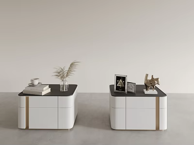 Modern Bedside Tables with White Bodies Black Tops Gold Accents and Decorative Books Plant Frame 3d model