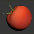 Fresh Red Tomato with Green Stem and Leaves on Dark Reflective Surface