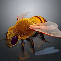 Detailed Close Up View Of Bee With Fuzzy Body Yellow Black Stripes And Transparent Wings
