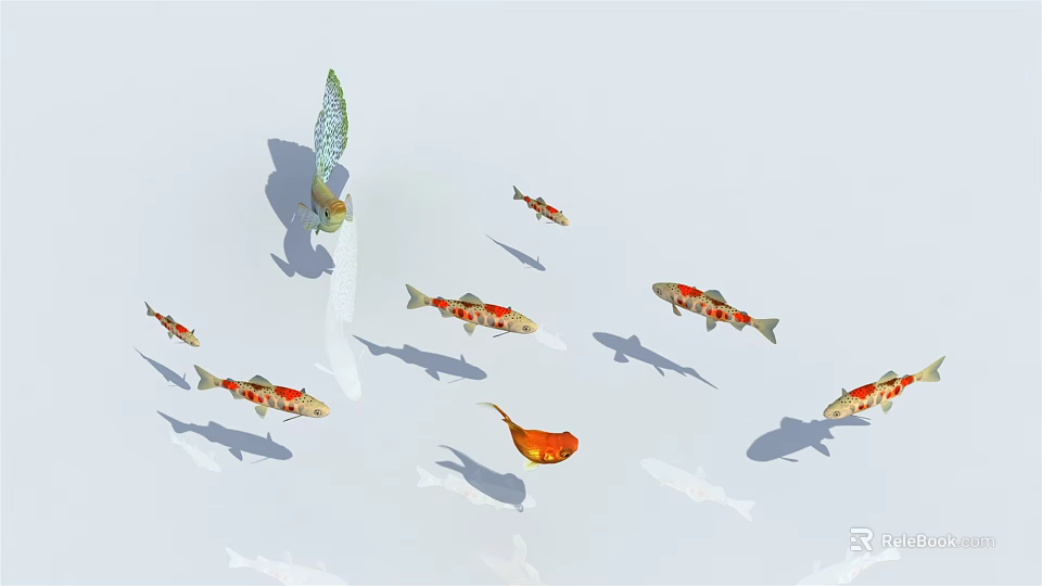 Beautiful Vibrant Koi Fish Swimming Gracefully in a Group on White Background 3d model 