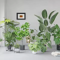 Stylish Indoor Hanging Basket Plants With Various Green Foliage And Decorative Planters