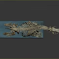 Detailed Animal Skeleton Model On Blue Base Showing Anatomical Structure Features 3d model