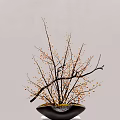 Bonsai Plant with Thin Branches and Orange Berries in Black Pot