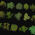 Diverse Arbor Trees Collection with Various Foliage Shapes and Sizes 3d model