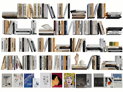 Diverse Books And Magazines Collection On Shelves With Various Covers And Types 3d model