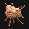 Detailed 3D Virus Structure Model With Spikes For Scientific Visualization