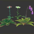 Colorful Garden Plants Featuring Red Flower White Daisy Purple Bellflowers And Green Leafy Ferns