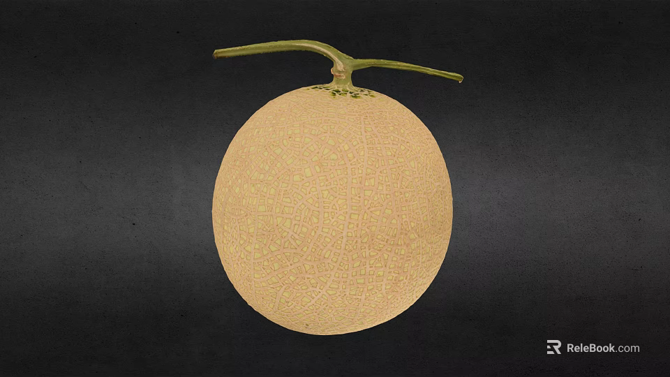 Fresh Netted Melon With Beige Skin And Green Stem On Dark Background 3d model 