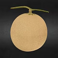 Fresh Netted Melon With Beige Skin And Green Stem On Dark Background
