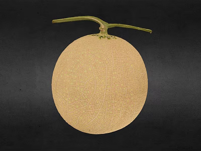 Fresh Netted Melon With Beige Skin And Green Stem On Dark Background 3d model
