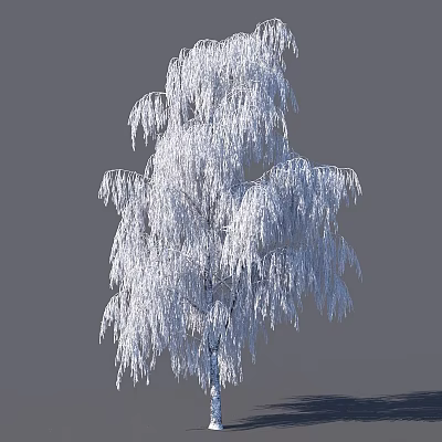 Garden Accent Snow Covered Weeping Tree With White Frost On Branches 3d model