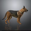 Detailed Realistic German Shepherd Dog Sculpture Carved With Lifelike Standing Pose
