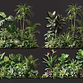 Lush Tropical Plant Combinations with Various Foliage and Greenery for Decor