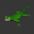 Green Lizard With Red Eyes And Colorful Spots On Its Body