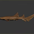Realistic Brown Shark Toy Model on Dark Surface with Reflective Base 3d model