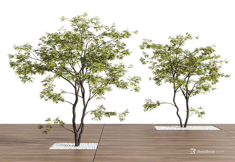 Two Ornamental Trees With Lush Green Leaves In Garden Landscape Design 3d model 