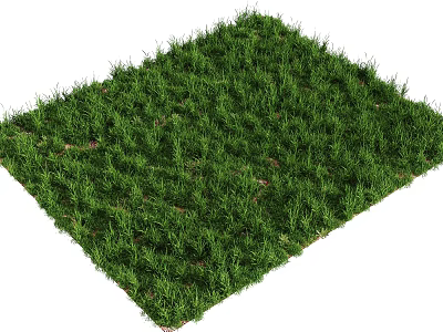 Lush Green Grass With Natural Texture And Fresh Appearance For Landscaping 3d model
