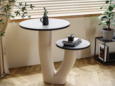 Modern Black and White Side Table with Two Round Tops Unique Base and Green Plants in Indoor Area 3d model