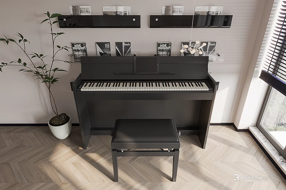 Elegant Piano And Art Frames In Modern Interior With Bench Shelves And Plant 3d model 