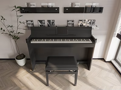 Elegant Piano And Art Frames In Modern Interior With Bench Shelves And Plant 3d model