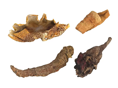 Various Natural Dried Foods Including Mushroom Root Chili and Vegetable Varieties 3d model