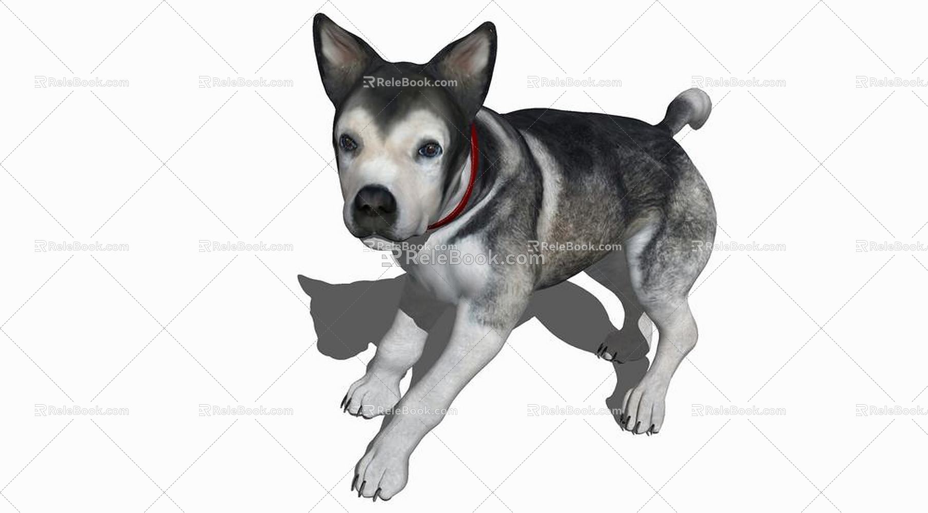 Modern Dog Animal Dog 3d model