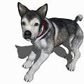 Modern Dog Animal Dog 3d model