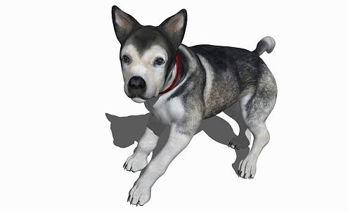 Modern Dog Animal Dog 3d model