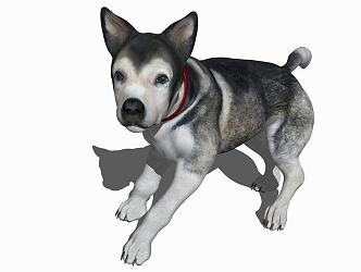 Modern Dog Animal Dog 3d model