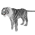 Realistic Gray White Reptile With Black Stripes Standing On White Background