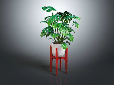 Green Monstera Plant In White Pot On Red Three Legged Stand 3d model