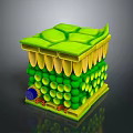 3D Visualization of Human Head Organ Cell Structure with Green Cytoplasm and Blue Nucleus