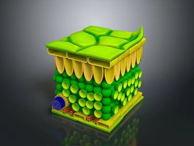 3D Visualization of Human Head Organ Cell Structure with Green Cytoplasm and Blue Nucleus 3d model