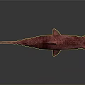 Red Shark Model With Open Mouth Sharp Teeth On Gray Background