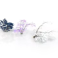 Decorative Plants with Blue Foliage Pink Blossoms and White Snowy Branches