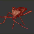 Reddish Brown Insect With Distinctive Patterns Long Antennae Legs 3D Rendered Isolated Dark Background 3d model