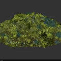 Lush Mixed Shrubbery With Diverse Green Foliage And Vibrant Plant Varieties