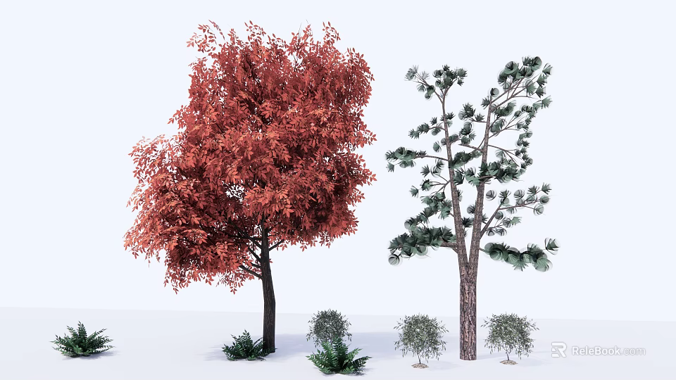 Red and Green Leaf Arbor Trees with Surrounding Small Shrubs in View 3d model 