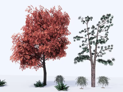 Red and Green Leaf Arbor Trees with Surrounding Small Shrubs in View 3d model