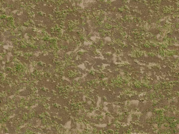 Turf ground texture (ID:ffaaf4451)