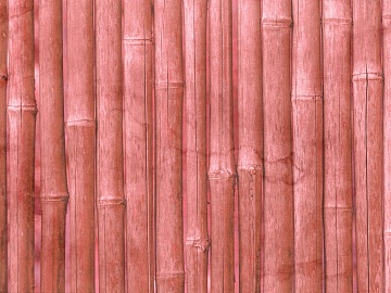 Bamboo texture (ID:ffabg22411)