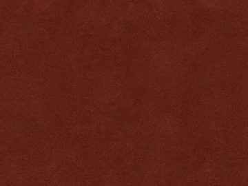 Mud texture (ID:ffaeg58925)