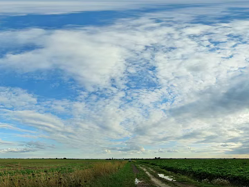 daytime sky texture (ID:ffaaf4127)