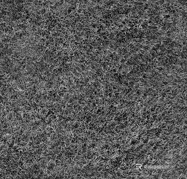 Highlight Mask texture