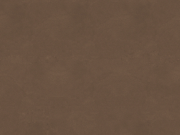 fine grain leather texture (ID:ffagg13897)