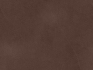 fine grain leather texture (ID:ffaeg55974)