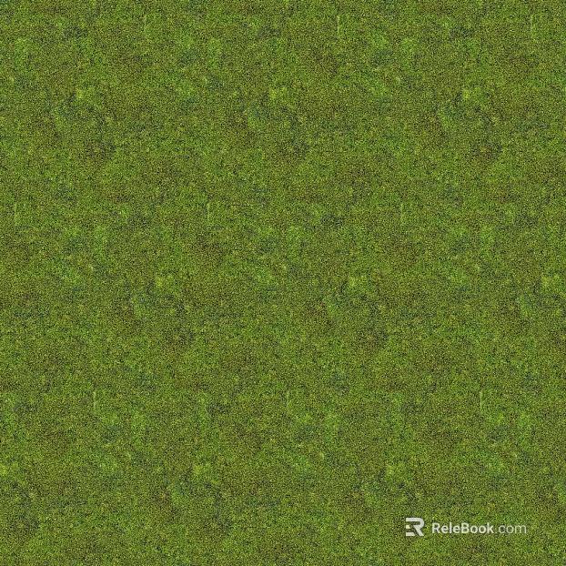 Green Moss Courtyard Ground texture