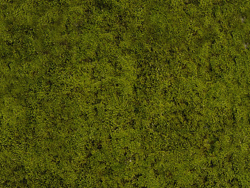 moss texture (ID:ffajg41829)