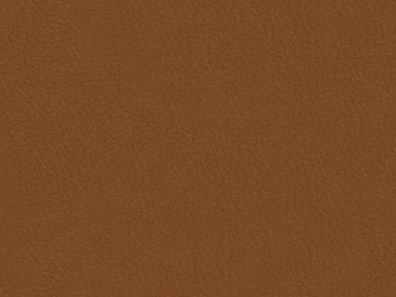 Coarse-grain leather texture (ID:ffach483348)